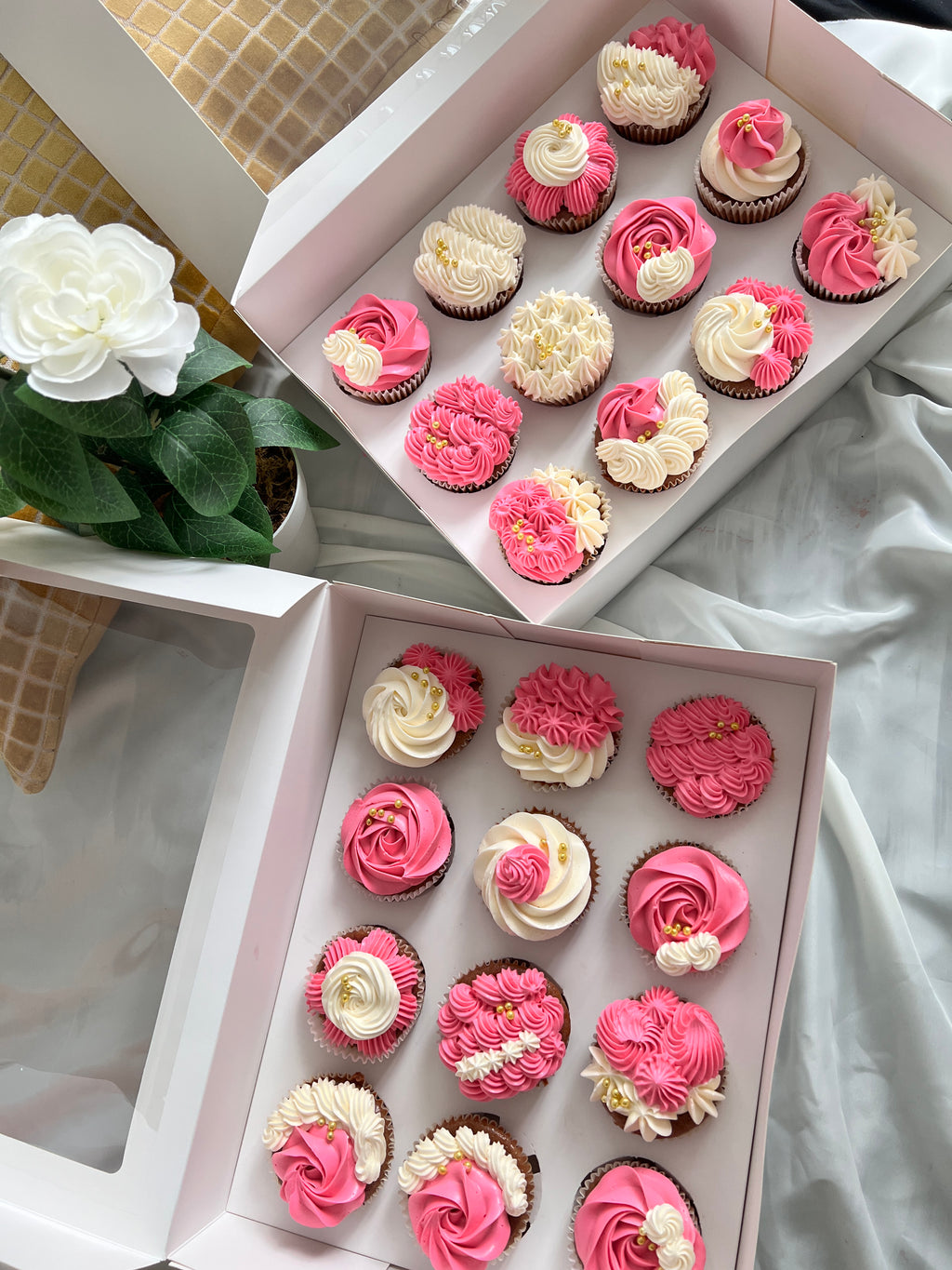 Fresh Design Cupcakes [Pink]