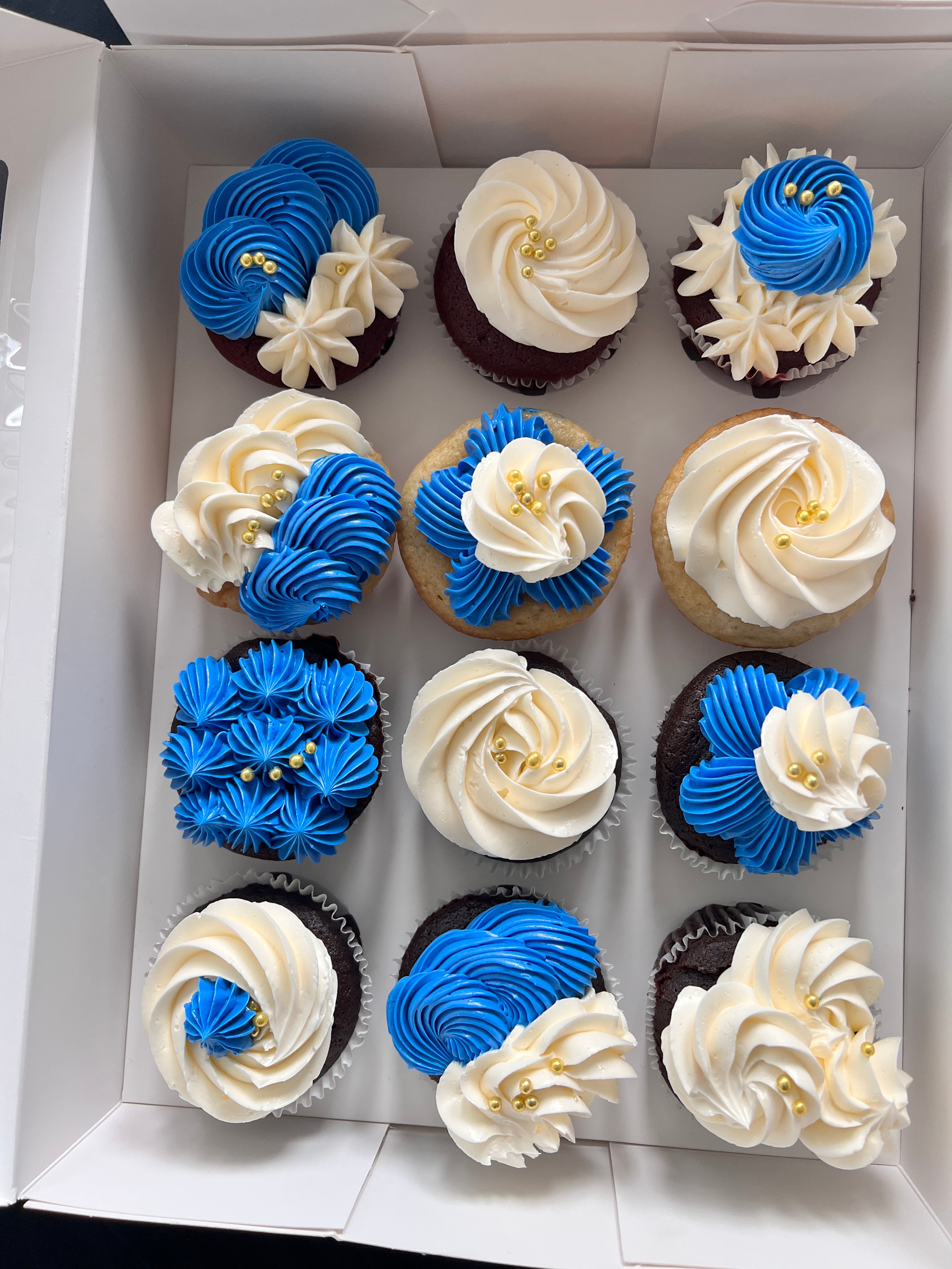 Fresh Design Cupcakes [Blue]