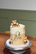 Teddy Topper Cake